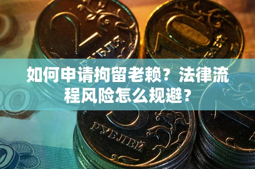 武汉如何申请拘留老赖？法律流程风险怎么规避？
