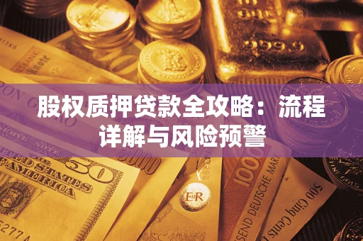 武汉股权质押贷款全攻略：流程详解与风险预警
