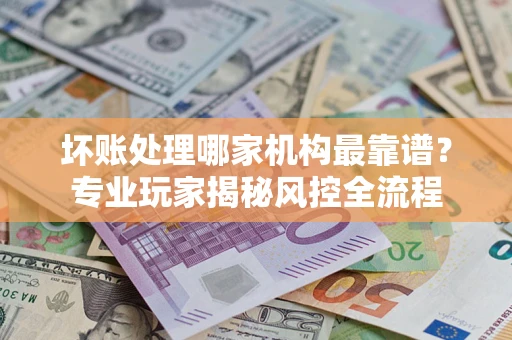 武汉坏账处理哪家机构最靠谱？专业玩家揭秘风控全流程