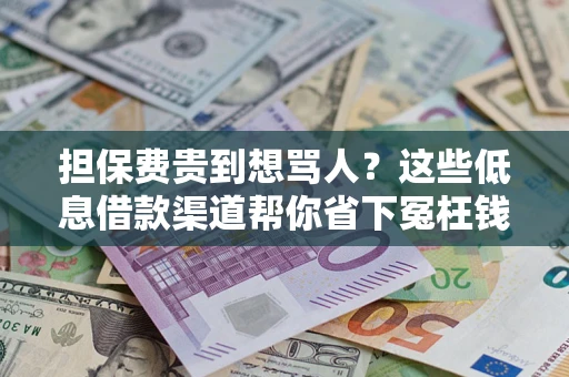 武汉担保费贵到想骂人？这些低息借款渠道帮你省下冤枉钱