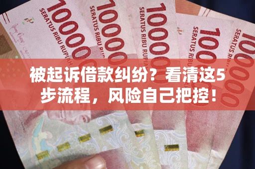 武汉被起诉借款纠纷？看清这5步流程，风险自己把控！