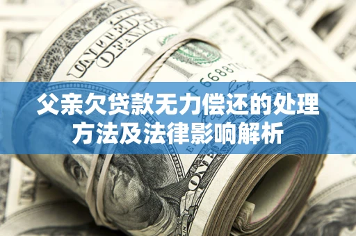 武汉父亲欠贷款无力偿还的处理方法及法律影响解析