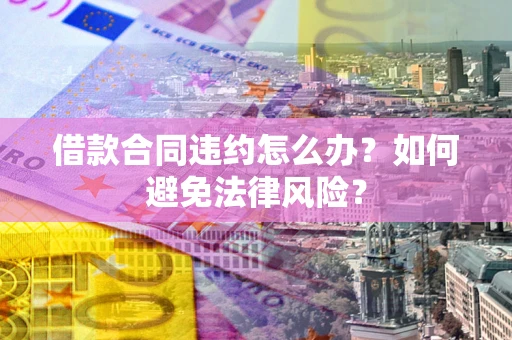 武汉借款合同违约怎么办？如何避免法律风险？