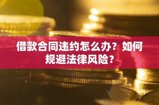 武汉借款合同违约怎么办？如何规避法律风险？